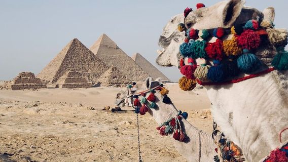CairoTours