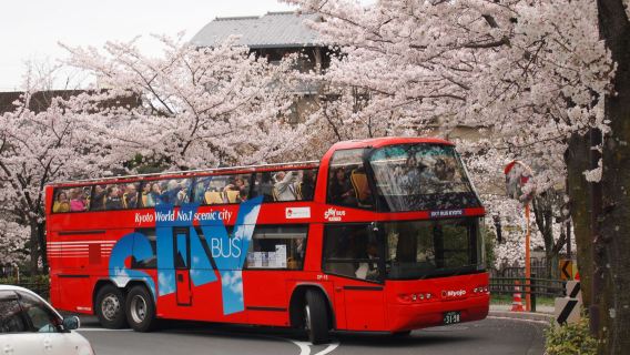 KyotoExperiences