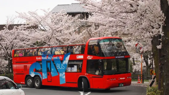 Japón · Kioto|Bus turístico de subida y bajada libre en Kioto - Kyoto Sky Hop-on Hop-off Sightseeing Bus