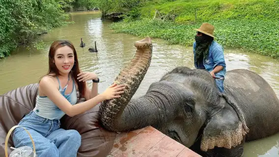 芭堤雅大象村+芭提雅旺昌咖啡半日遊【表演|可選騎大象