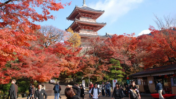 NagoyaTours