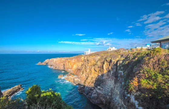 日本和歌山市和歌山城+白濱溫泉+千疊敷+三段壁一日遊