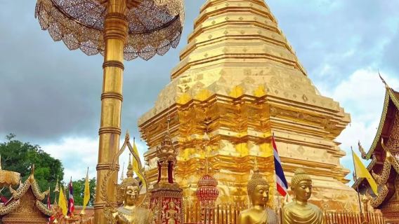 マイ・ステープ山日帰りツアー【ドイステープ寺院・チェンマイ大学+オプションでナイトサファリ】