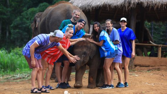 Patara Elephant Farm Day Trip in Chiang Mai, Thailand