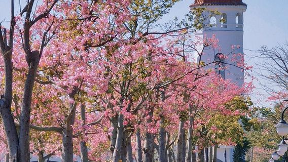 ZhuhaiTours