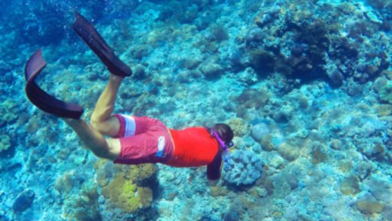 Tur Sehari Amed Snorkeling 3 Lokasi Menyelam Menakjubkan dengan Transportasi & Makan Siang di Bali|Indonesia