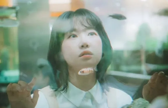 新竹縣Trip Moments【情侶婚紗/個人寫真/全家福集體照/商業攝影攝像跟拍航拍街拍】