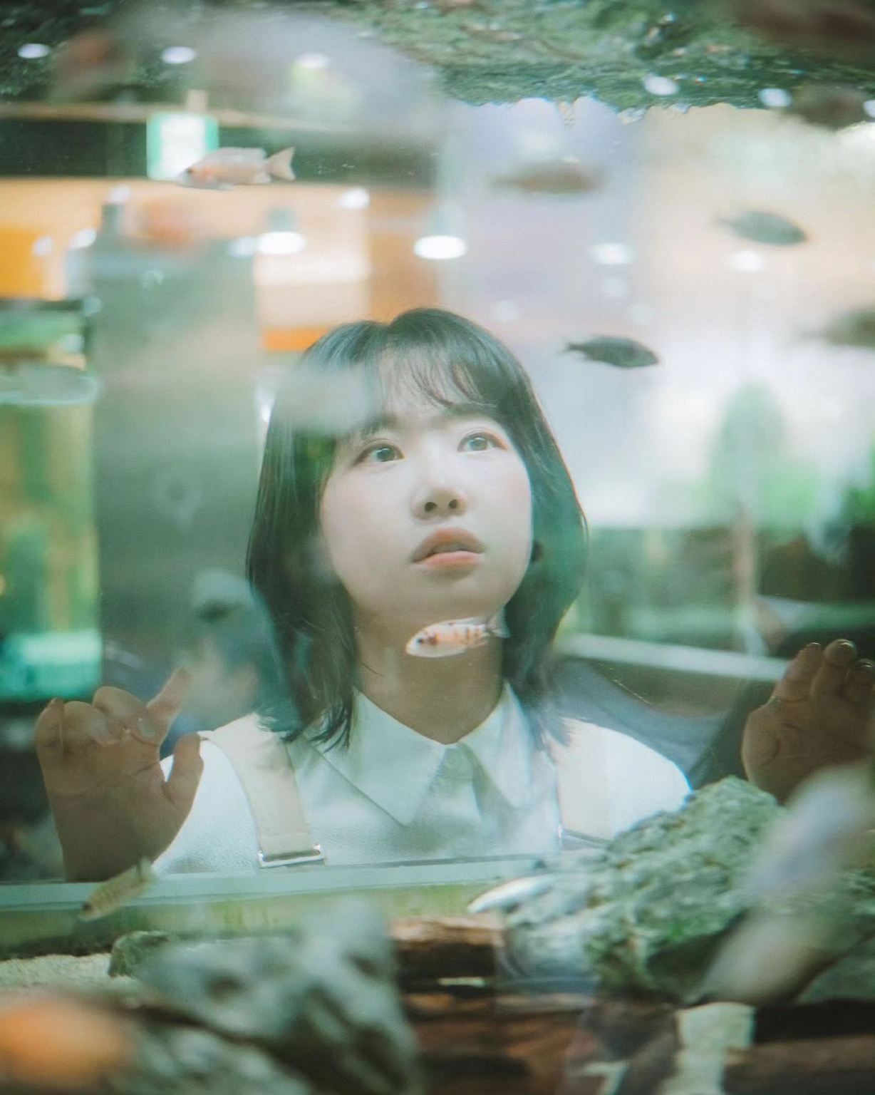 Servizi fotografici nella Contea di Hsinchu[Autista, guida e fotografo per Trip Moments + servizio di riprese aeree per foto matrimoniali e cortometraggi + trucco e abbigliamento + personalizzazione itinerario + numero illimitato di partecipanti]