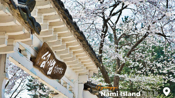 YangyangTours