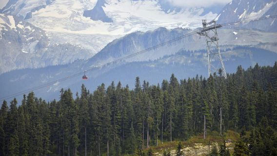 Whistler & Sea to Sky Gondola: Day Trip from Vancouver