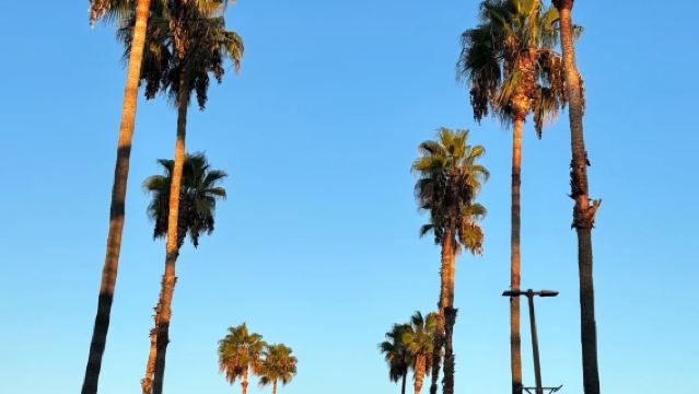 美國洛杉磯來回箭頭湖+大熊湖小鎮-一日遊包車【精選老司機】