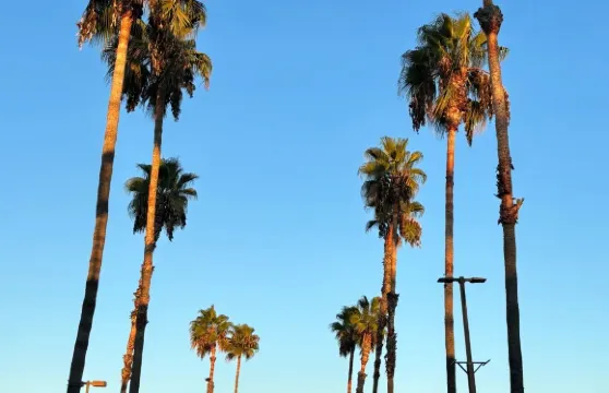 美國洛杉磯來回箭頭湖+大熊湖小鎮-一日遊包車【精選老司機】