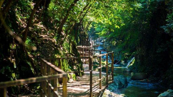 蓬萊仙洞+ 醉山野一日遊【探溶洞踏翠山野◆2-8人小團】