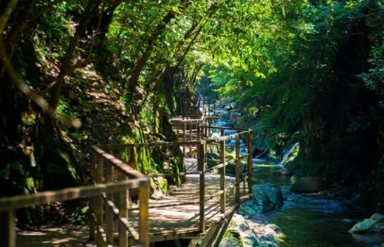 蓬萊仙洞 + 醉山野一日遊【探溶洞踏翠山野◆2-8人小團 】