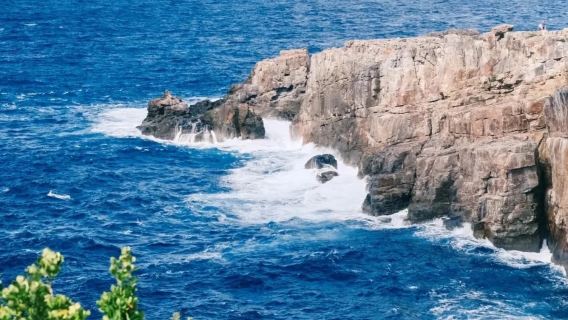 日本大阪-和歌山-白濱一日遊12h-可關西周邊日本全境》包車