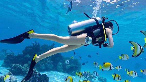 Phi Phi IslandsExperiences