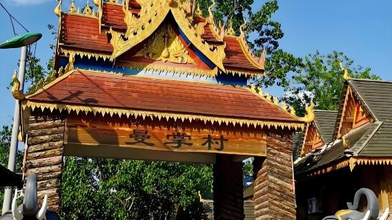 Excursion d'une journée en groupe dans la vallée des éléphants sauvages de Xishuangbanna, au village de Manzhang et au parc forestier primitif (expériences optionnelles)