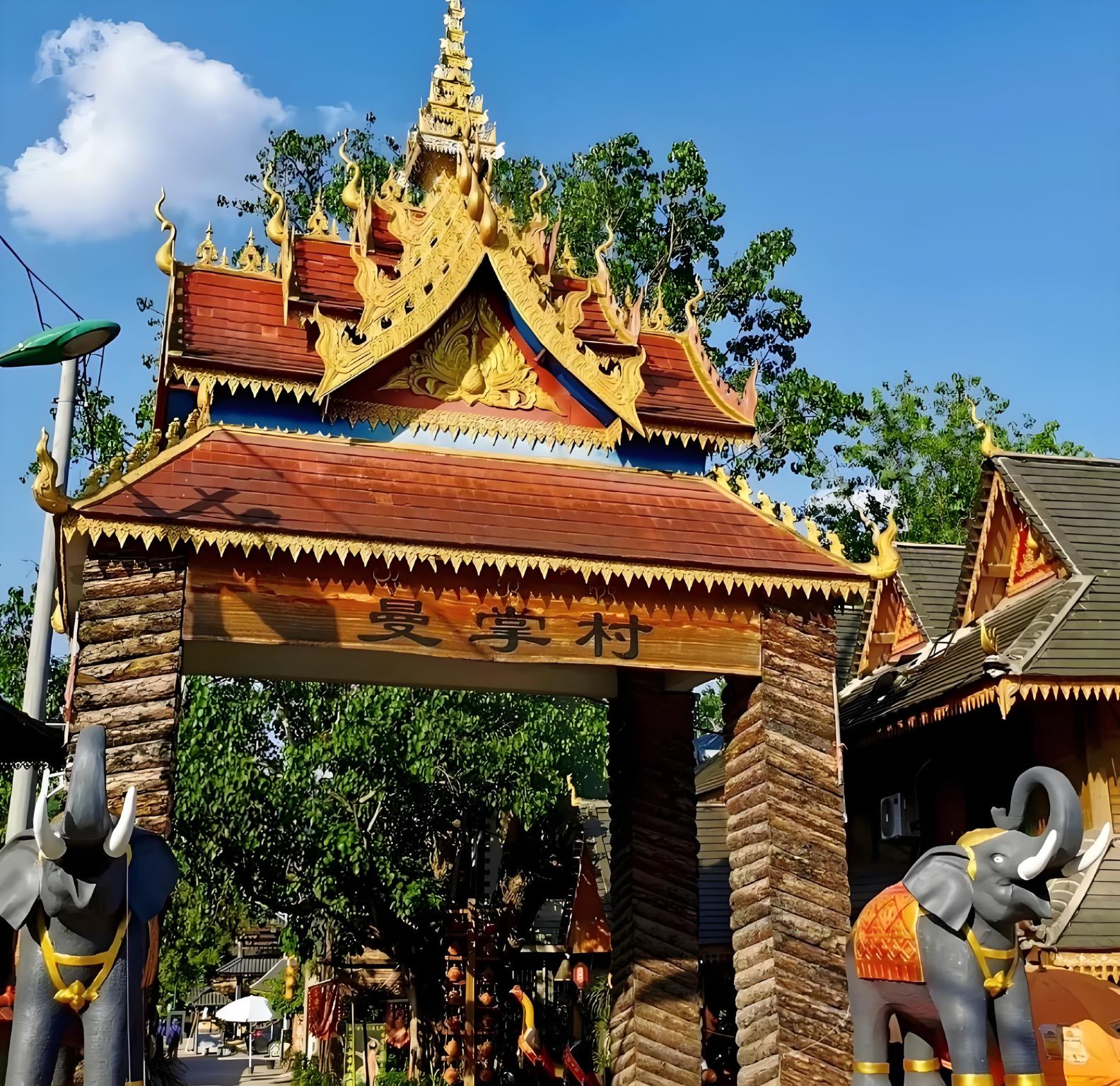 Yunnan Xishuangbanna Wild Elephant Valley, Manzhang Village, and Primitive Forest Park Group Day Tour (Optional Experiences)