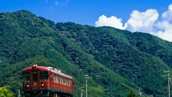 《神隱少女》觀光列車一日遊｜丹後紅松號・天橋立・嵐山｜大阪發