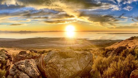 Salt Lake City: Experiencia de vida silvestre y puesta de sol en el Gran Lago Salado