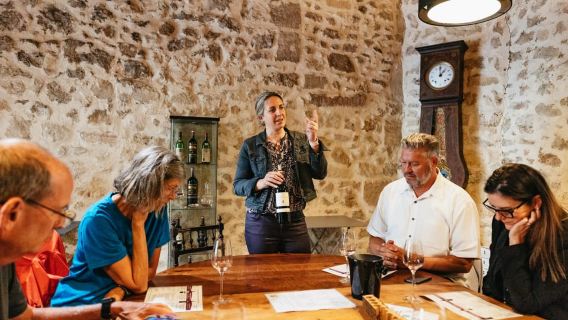 Burdeos: Excursión de un día a Saint-Émilion con cata de vinos y almuerzo