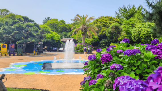 Jeju: l'UNESCO orientale partecipa al tour (Seongsan, Haenyeo)