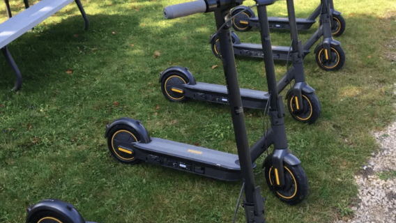 Fish Creek: Electric Scooter Nature Glide Tour