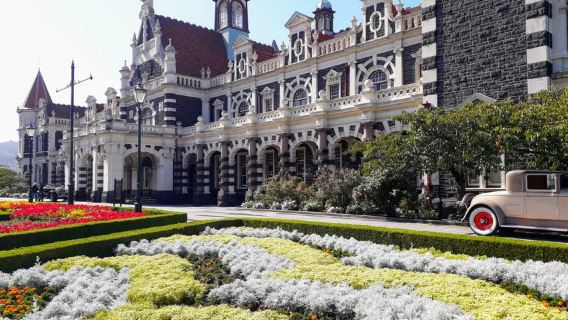 Dunedin: City Highlights and Otago Peninsula Scenery