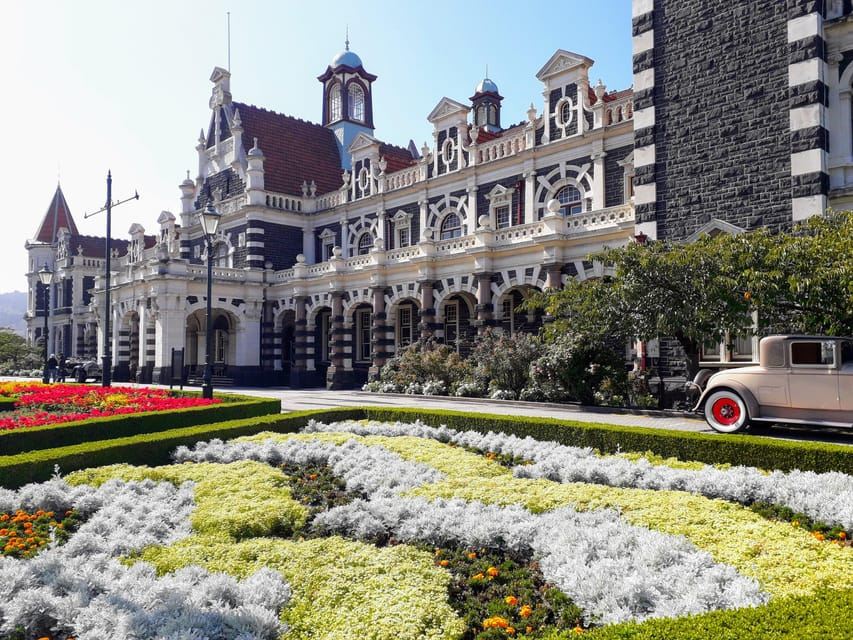 Dunedin: City Highlights and Otago Peninsula Scenery