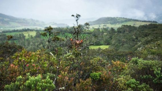 From Bogotá: Salt Cathedral and Lake Guatavita Day Tour