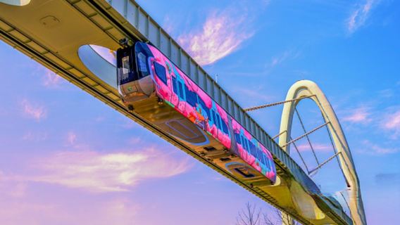 【國慶-私人導覽】光谷空軌+東湖綠道+黎黃陂路+古德寺一日遊