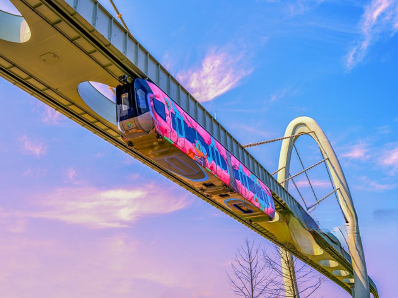 【私家團-懶睡】光谷空軌+東湖綠道+黎黃陂路+古德寺一日遊