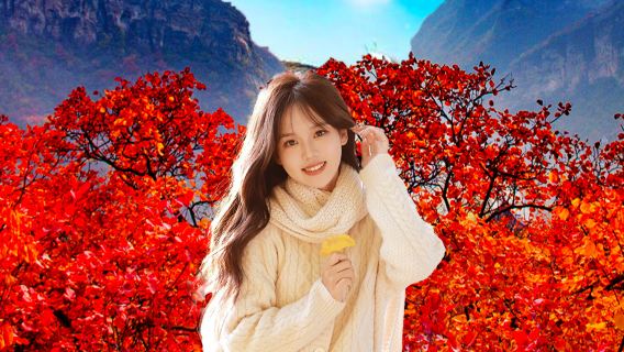 坡峰嶺一日遊【秋遊賞紅葉+贈紅葉標本】可選私人導覽|純玩周邊遊