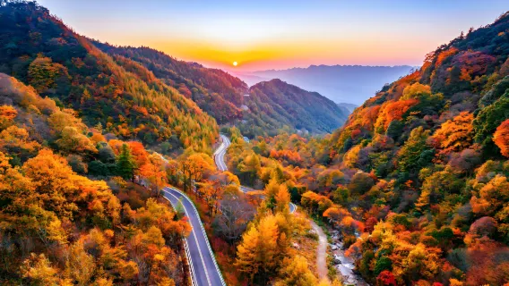 Bazhong round-trip: 1-day tour to Micang Mountain National Forest Park – Enjoy the red leaves covering the mountains