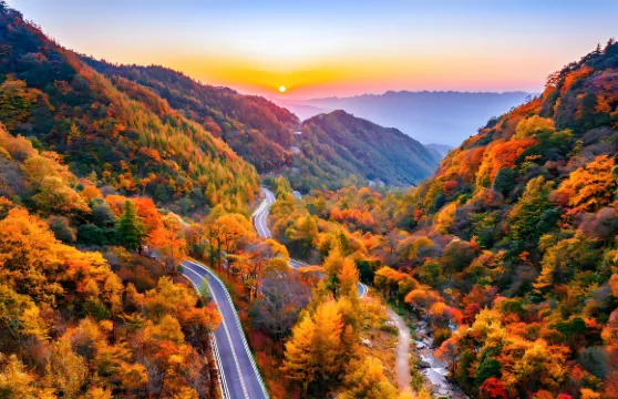 巴中來回：米倉山國家森林公園一日遊—— 賞漫山紅葉