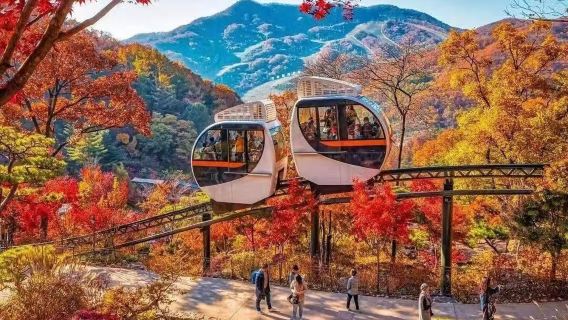 perjalanan satu hari Seoul, Seoraksan, dan Pulau Nami di Korea Selatan (sewa kendaraan pribadi Tiongkok) (Hanya Musim Gugur dan Musim Dingin)