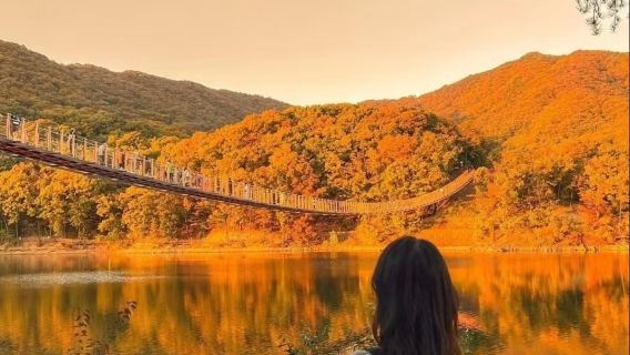 서울 출발 파주 당일 치기 여행/비무장지대+임진각