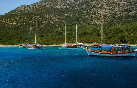 博德魯姆奧拉克島遊船之旅