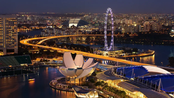 Singapore customized private charter - Jewel Changi Airport one-way pickup/drop-off or downtown 1-day tour