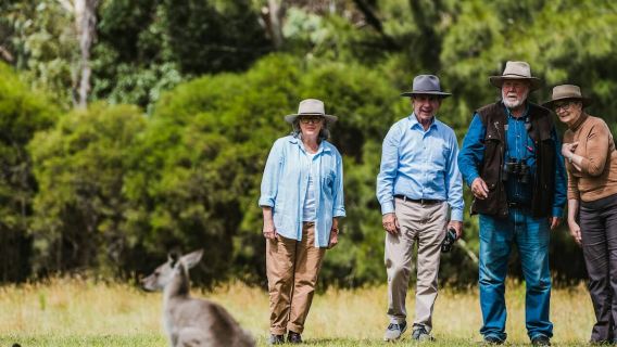 Canberra: tour guidato della fauna selvatica + trasporto di andata e ritorno