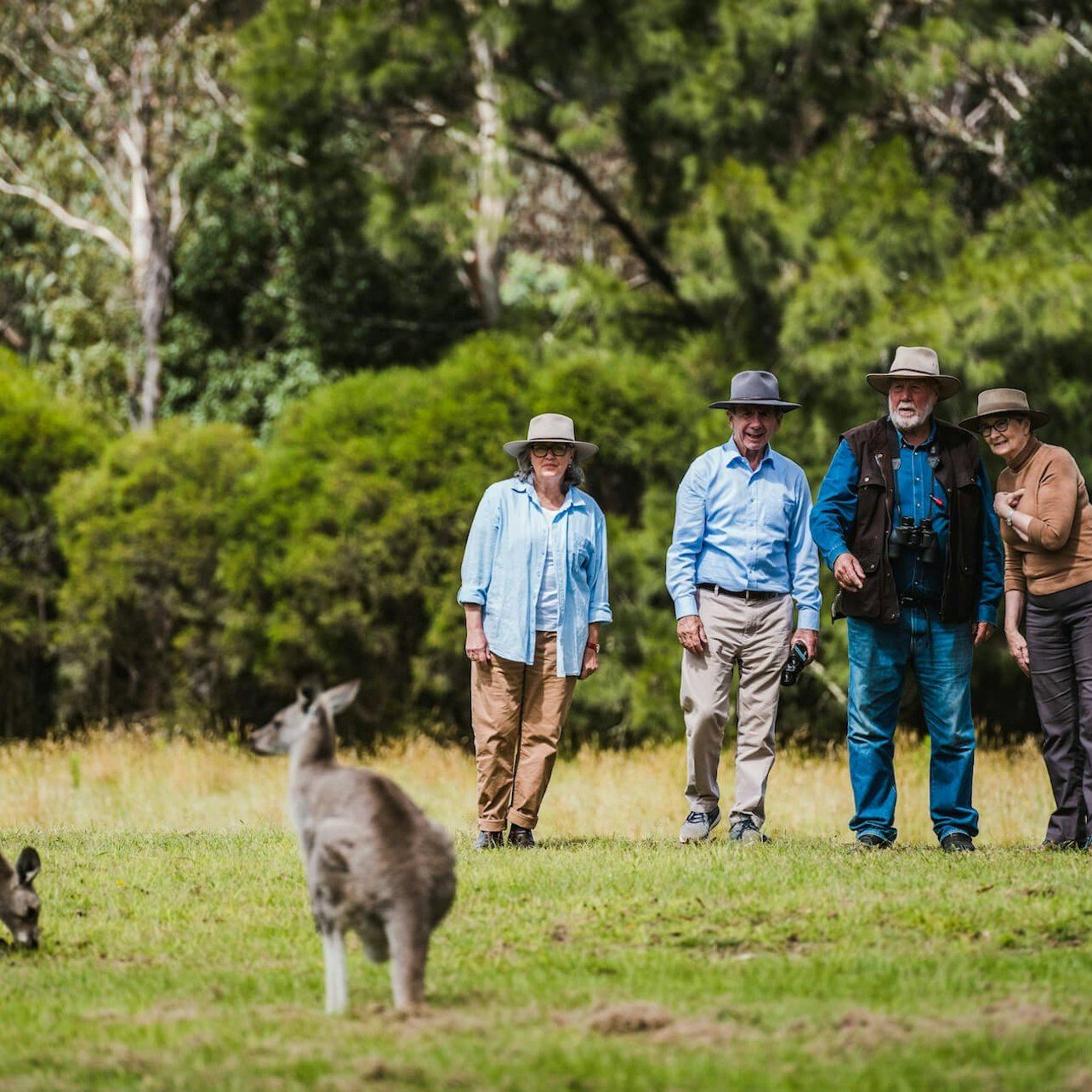 Canberra: Guided Wildlife Tour + Roundtrip Transportation