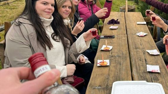 Zakopane: Visita guiada con piscinas termales + traslado al hotel desde Cracovia