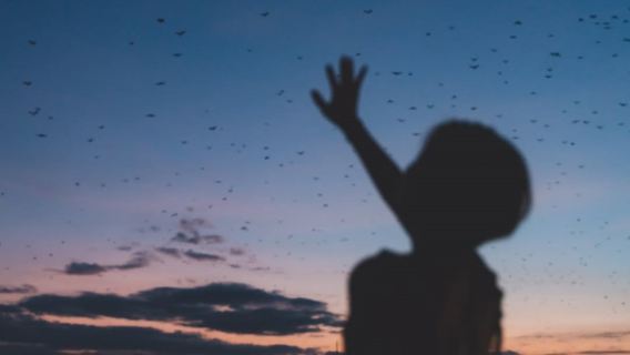 コモド豪華ダブルデッキヨットサンセットツアー【ホテル送迎+シュノーケリング+コウモリの帰巣サンセット鑑賞】