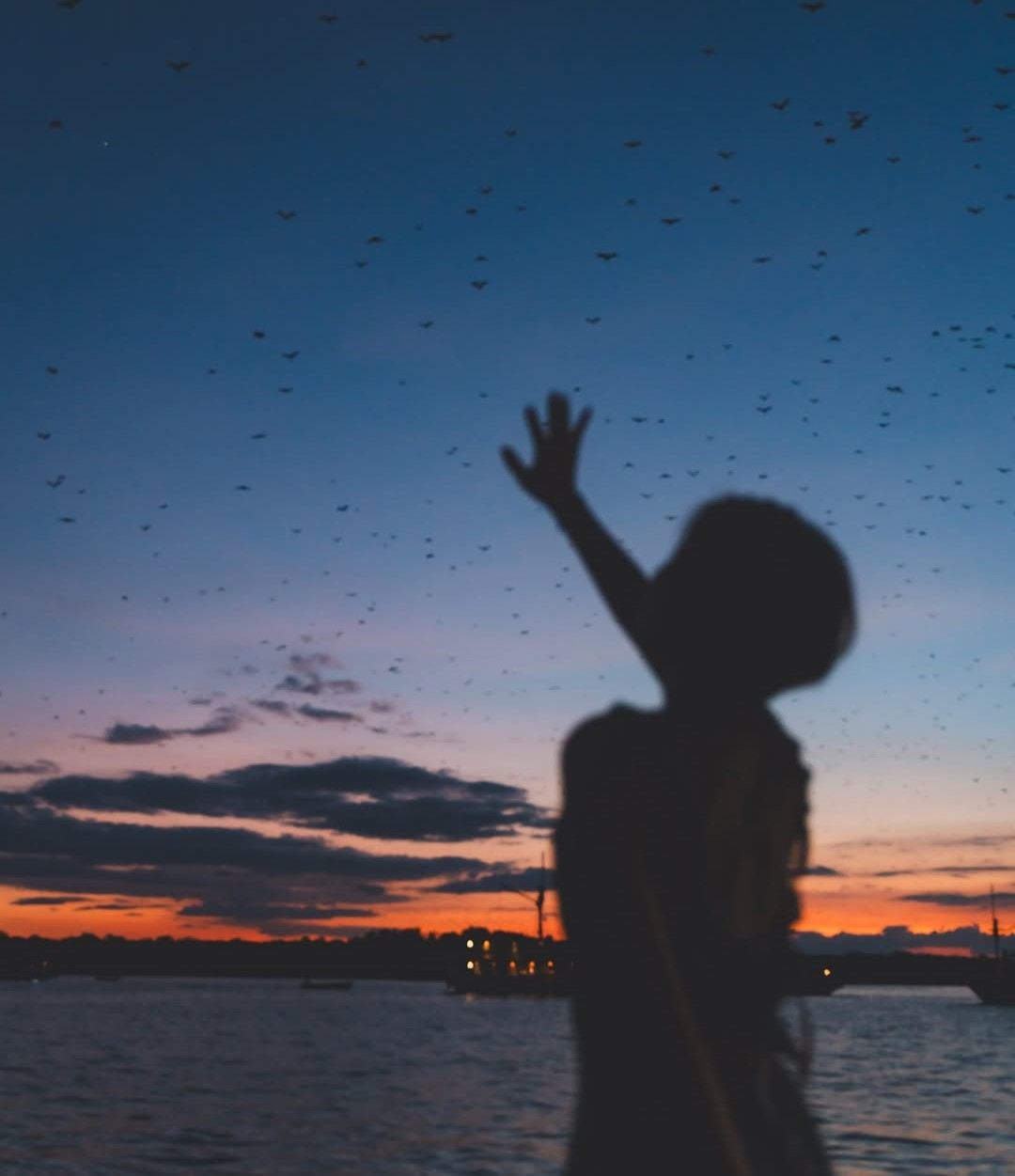ทัวร์เรือยอชท์หรูสองชั้นโคโมโด ชมพระอาทิตย์ตกดิน [บริการรับส่งที่พัก + ดำน้ำตื้น + ชมค้างคาวบินกลับรังตอนเย็น]
