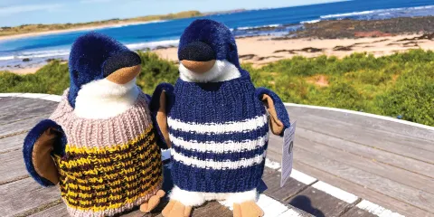 澳洲菲利普島Penguin Parade+考拉保育中心一日遊【可升級坐席】