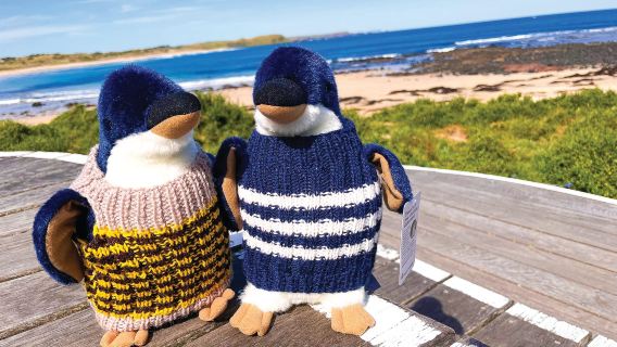 ออสเตรเลีย เกาะฟิลลิป ชมเพนกวินกลับรัง + ศูนย์อนุรักษ์โคอาล่า ทัวร์ 1 วัน [สามารถอัปเกรดเป็นแพ็กเกจรวมบริการรับส่ง]