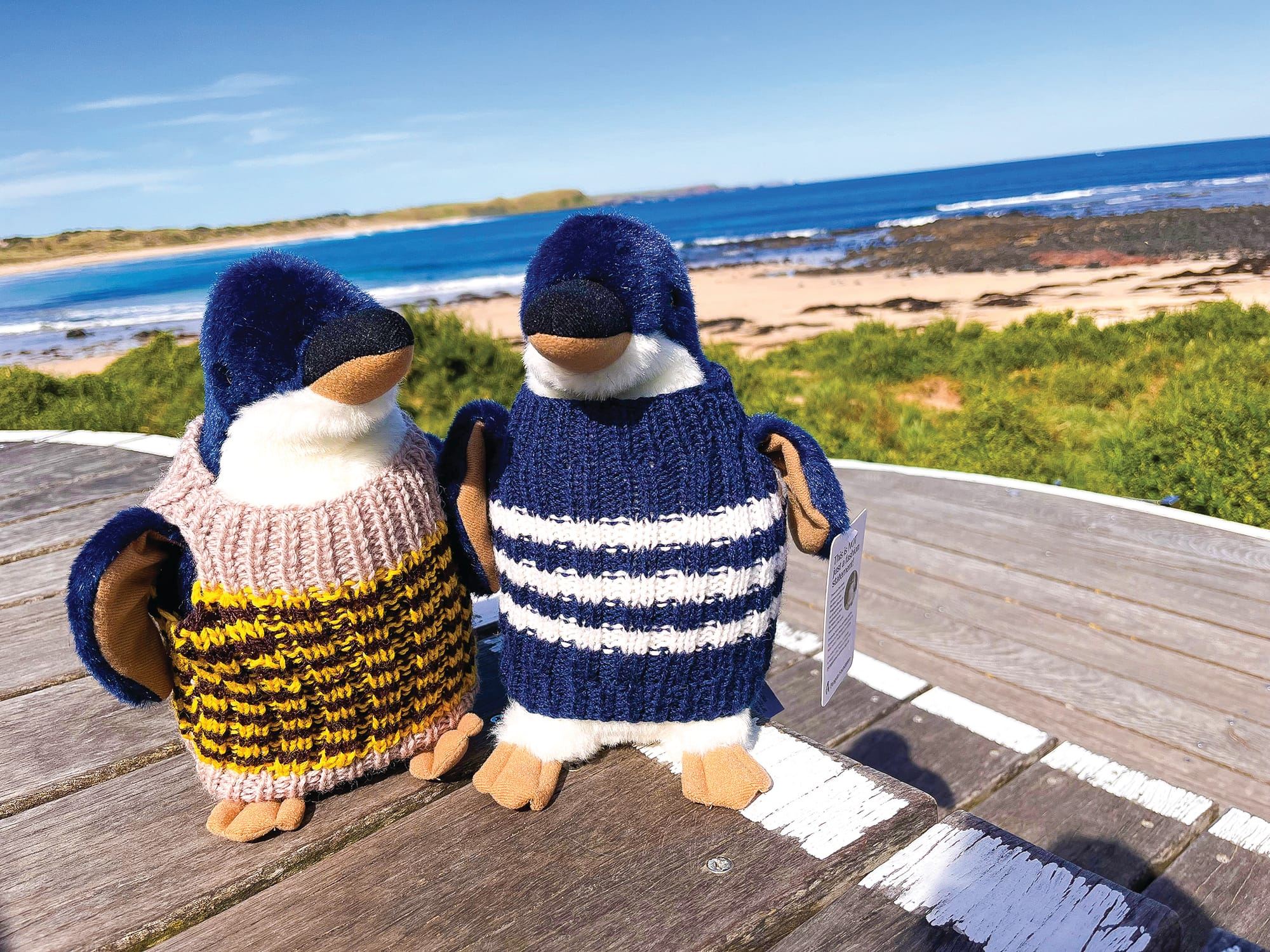 Australia Phillip Island Penguin Parade + Koala Conservation Reserve 1-day tour [upgrade option with transfers included]