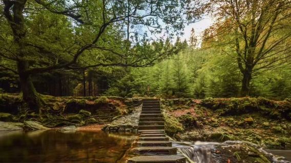 愛爾蘭都柏林來回 科夫小鎮【體驗中世紀晚宴 可訂全境包車】