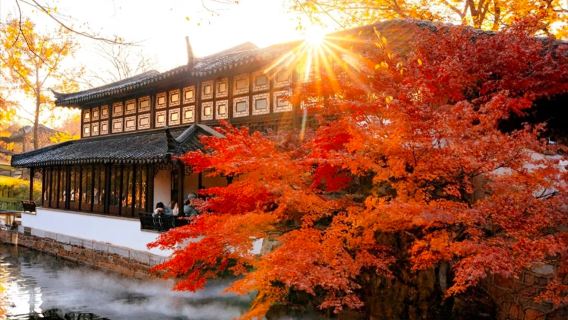 [Grupo pequeño exclusivo/incluye auriculares] Guía en vivo de 70 minutos en el Jardín del Administrador Humilde de Suzhou----Disfruta de la belleza de los jardines del sur del Yangtsé [Entrada reservada gratis]