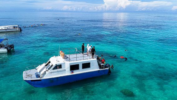 サバ コタキナバル マジック ムンガルム島 シュノーケリング 日帰りツアー
